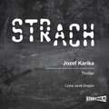 Strach - audiobook