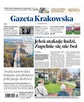 Gazeta Krakowska – e-wydanie – 258/2024