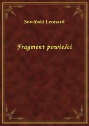 : Fragment powieści - ebook