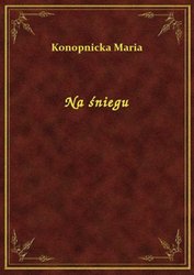 : Na śniegu - ebook