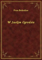 : W Saskim Ogrodzie - ebook